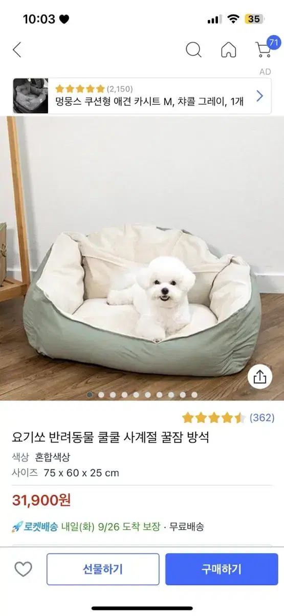 강아지 꿀잠방석(상태완전좋음)